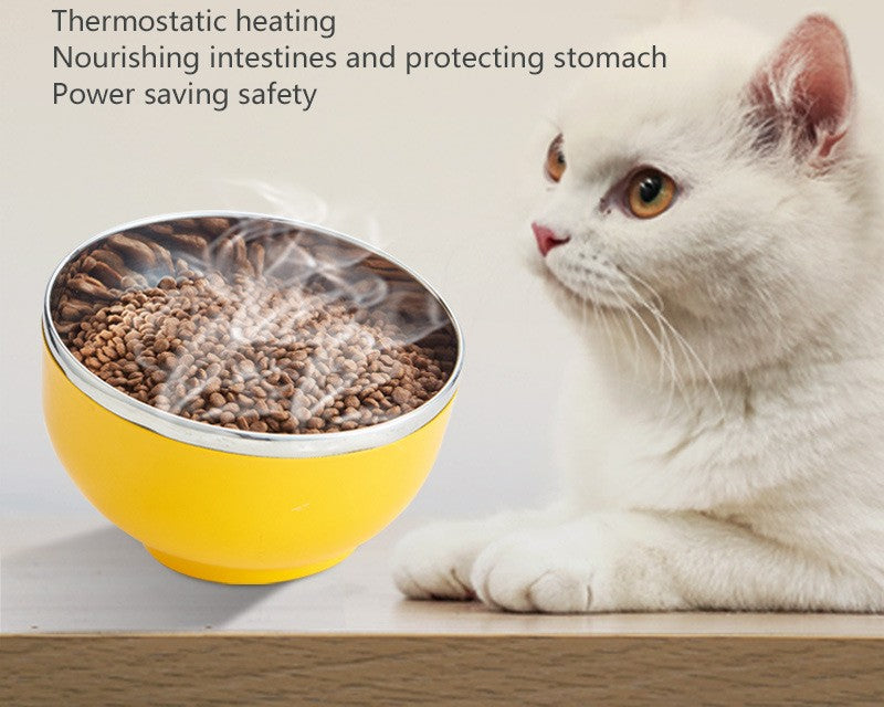 Constant Temperature Heated Pet Bowl for Cats & Dogs