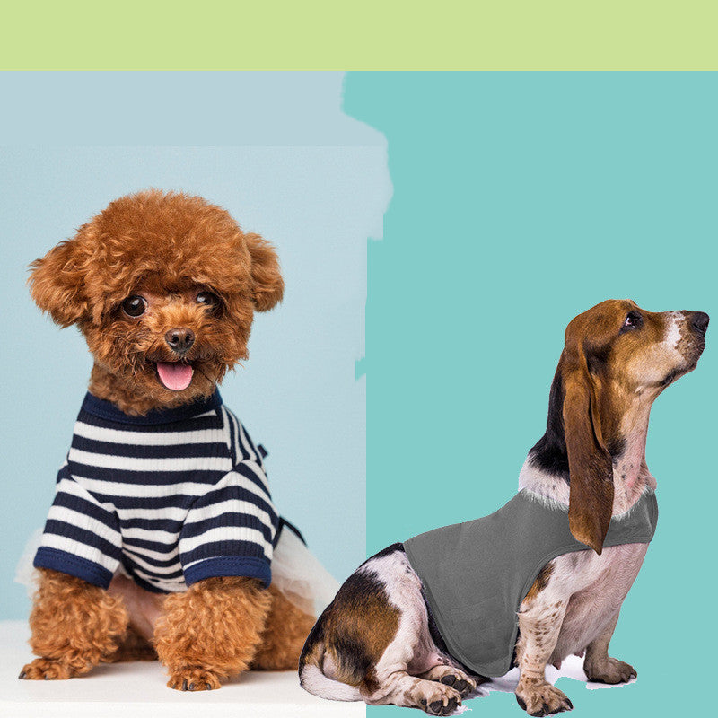 Anxiety Jacket Vest Summer Medical Treatment To Calm Down Cat Clothes Dog Comfort Clothes - Majestic Pet Kingdom
