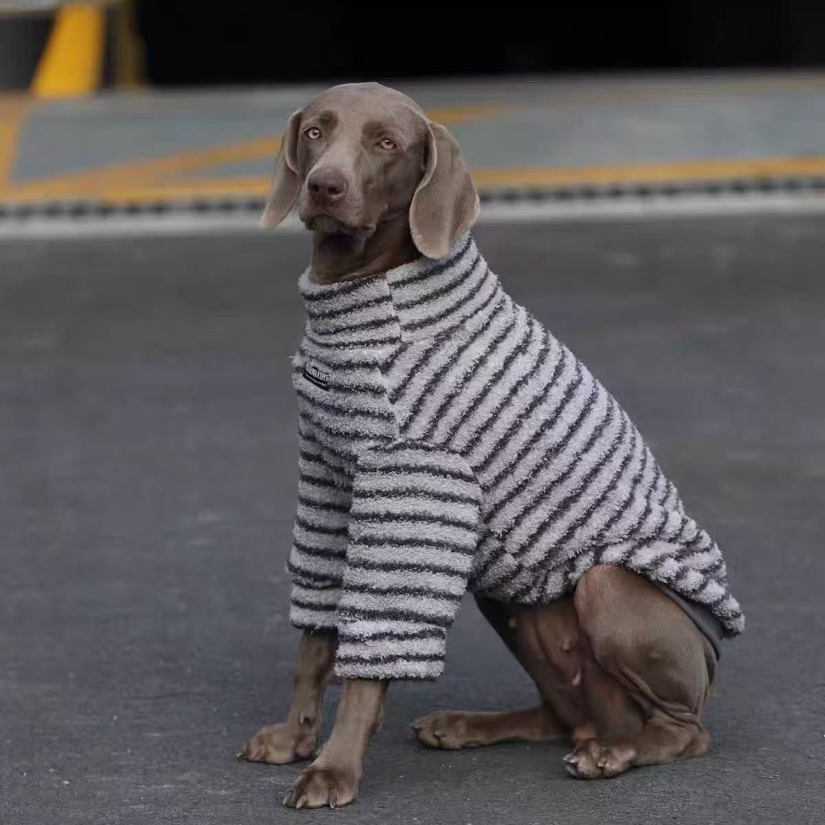Pet Product - Premium Pet Accessory