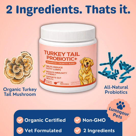 Dog Mushroom Powder Turkey Tail Immune Health Supplement 4oz