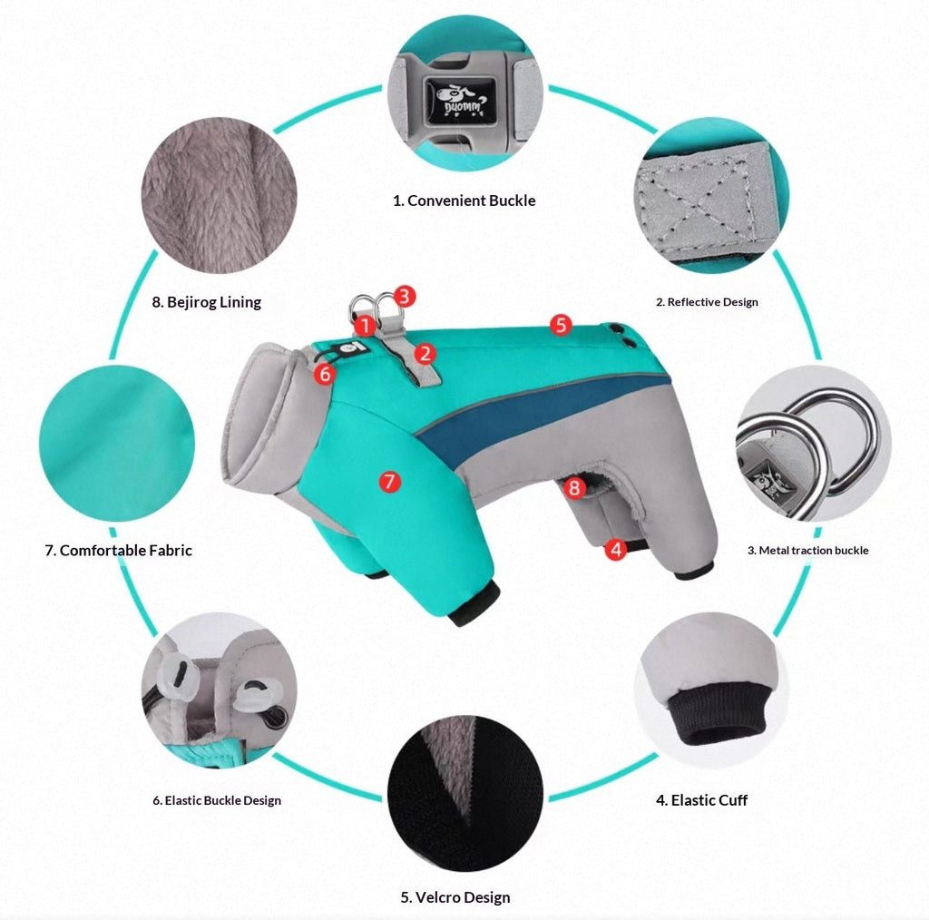 Pet Product - Premium Pet Accessory