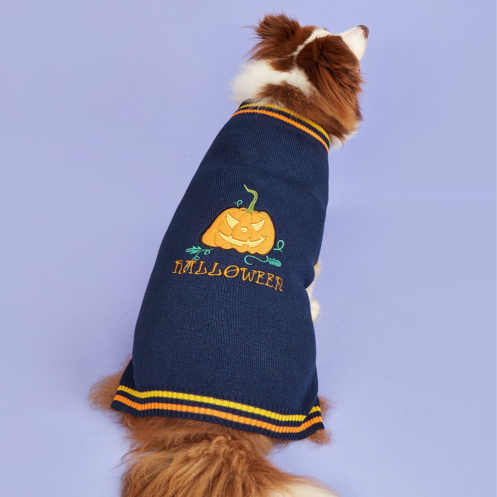 New Halloween Pumpkin Pet Sweater In Blue - Majestic Pet Kingdom