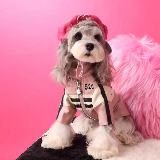 Dog Autumnwinter Clothing Motorcycle Jacket Coat - Majestic Pet Kingdom