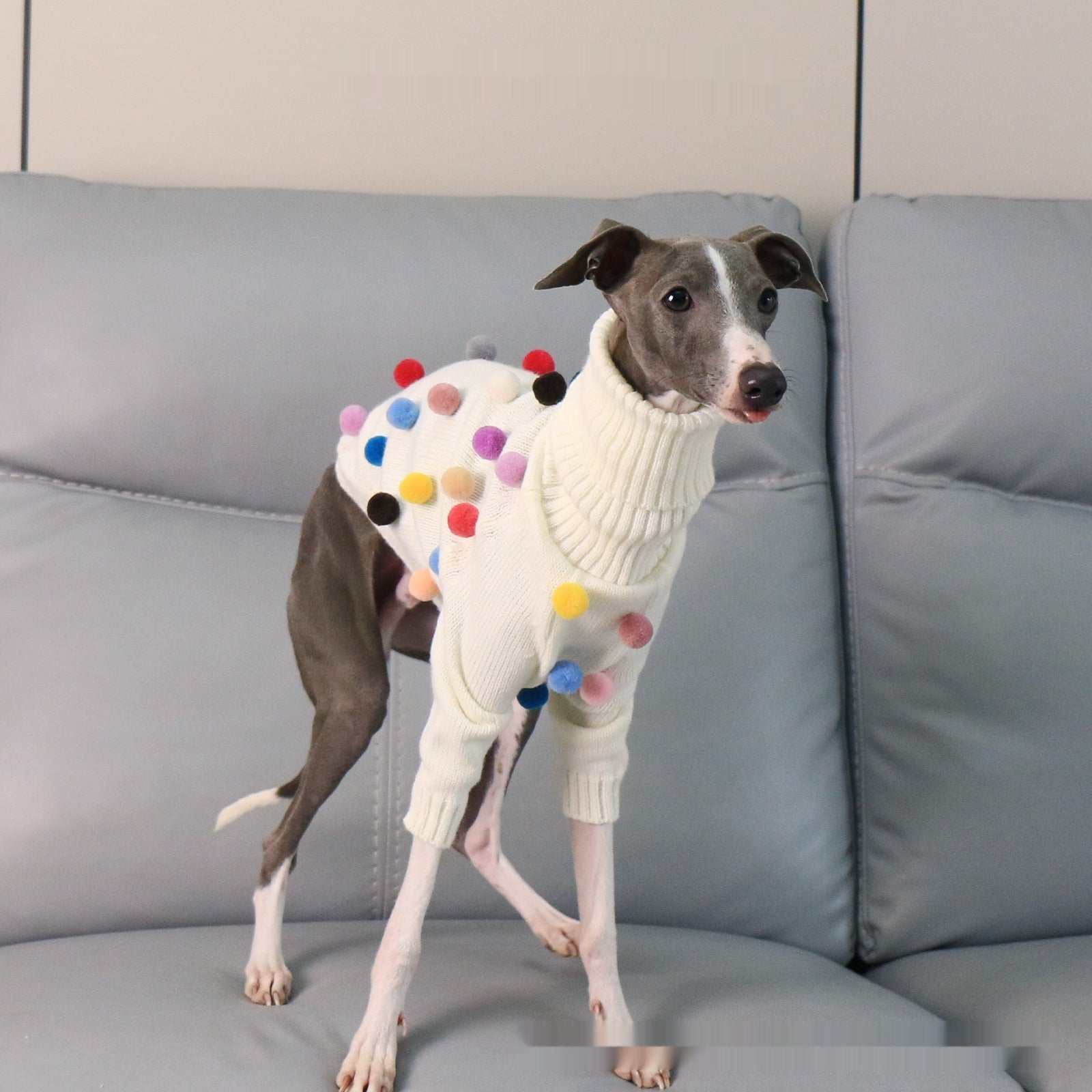 Pet Product - Premium Pet Accessory