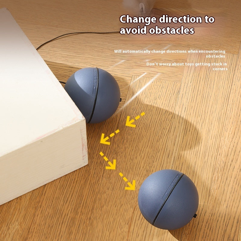 Automatic Intelligent Moving Mouse Teaser Ball