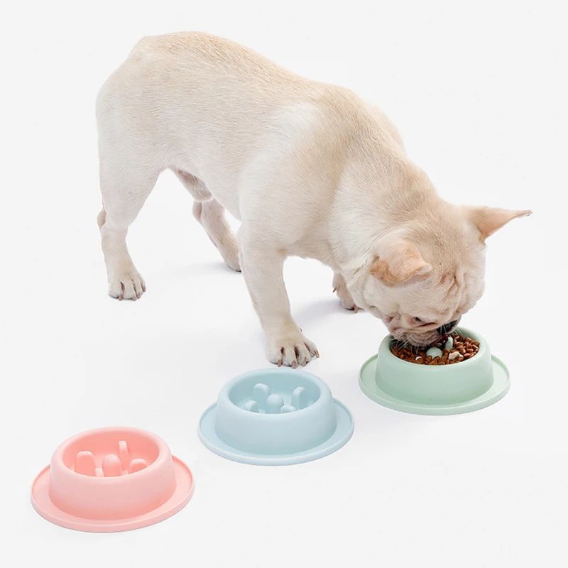 Dog Bowl Slow Feeder Interactive Puzzle Plate Anti-Choke Dish - Detail Angle 3 | Majestic Pet Kingdom