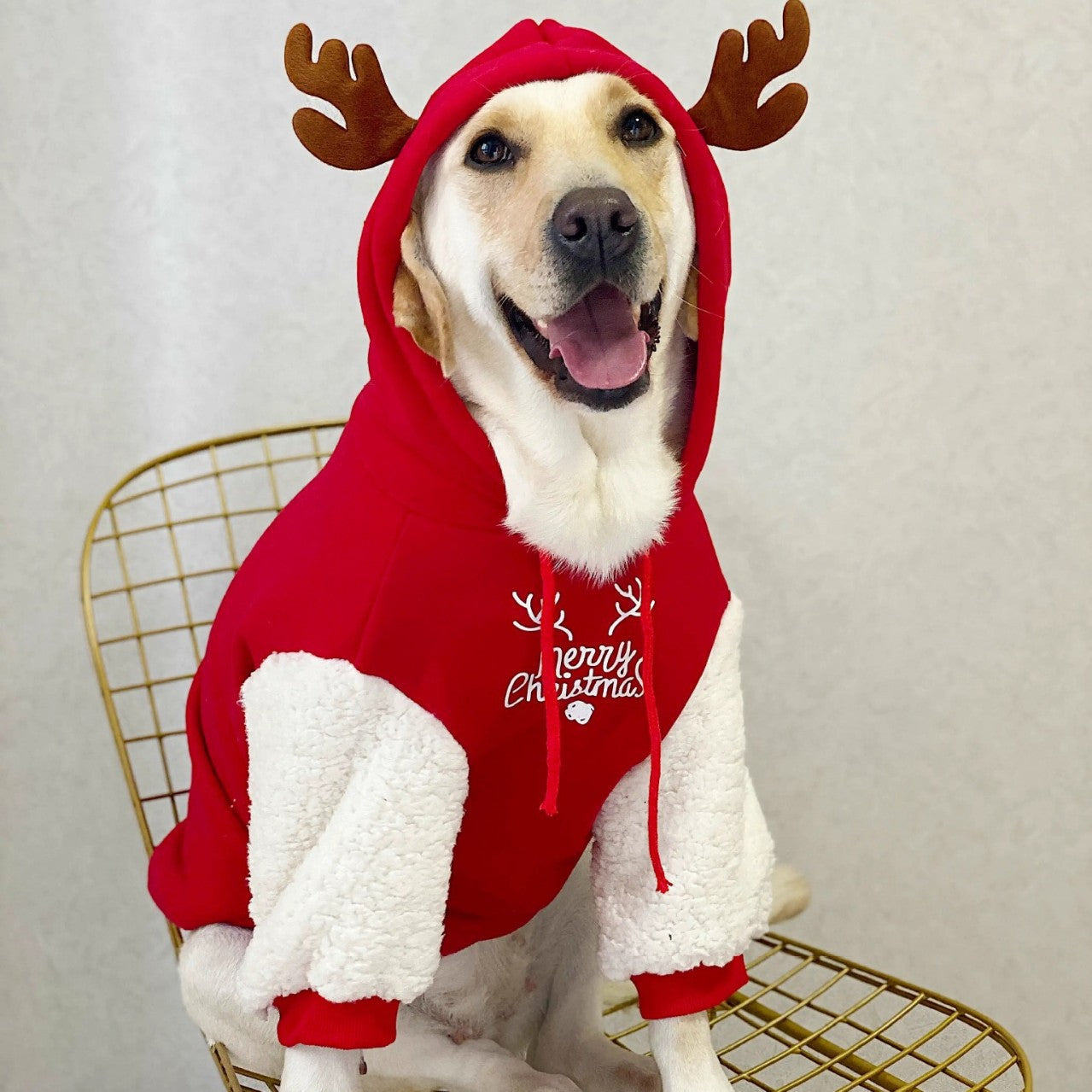 Pet Warm Fleece Sweatshirt - Premium Pet Accessory