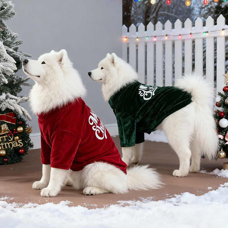 Pet Product - Premium Pet Accessory