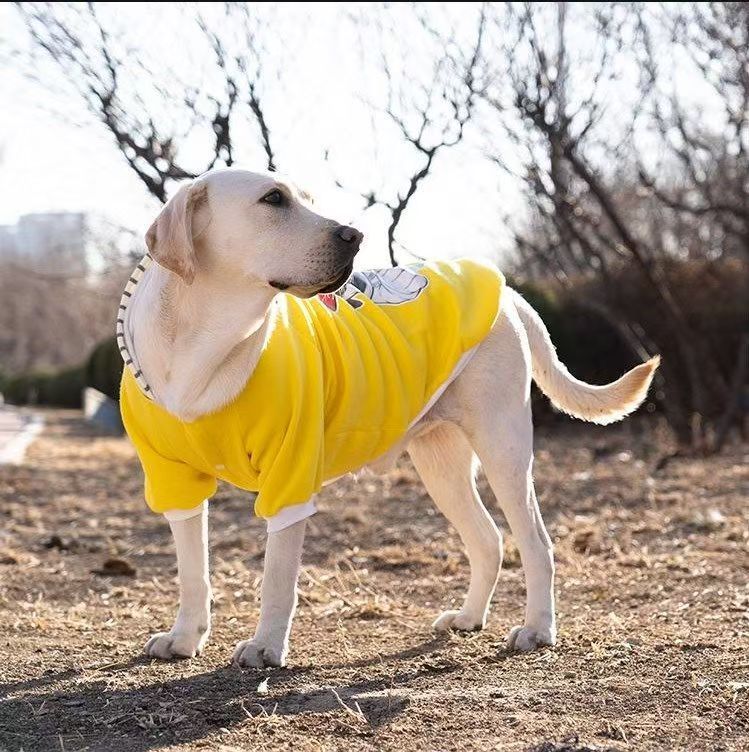 Pet Product - Premium Pet Accessory