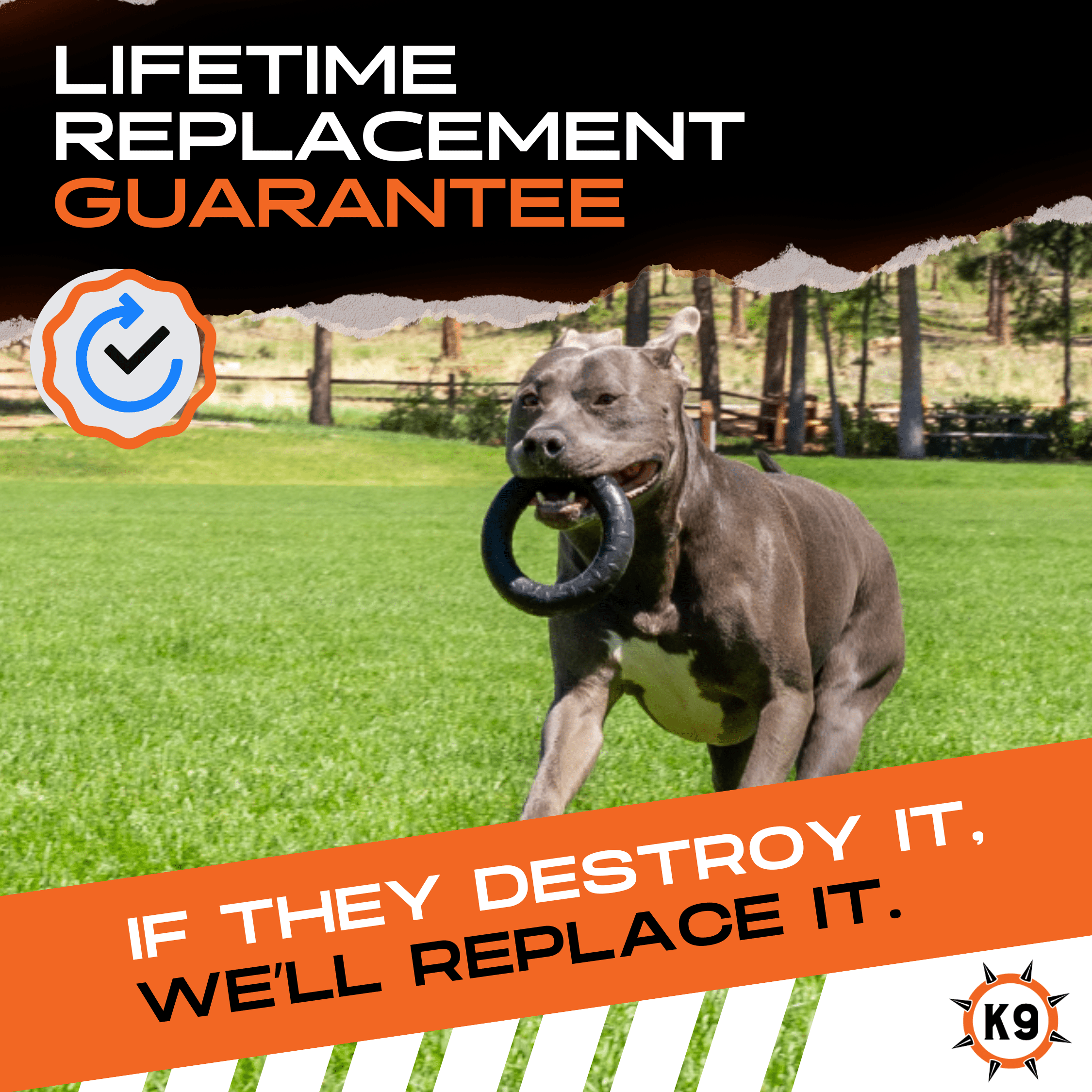 Luxury Pet Essentials - Purrfect Pet Kingdom™
