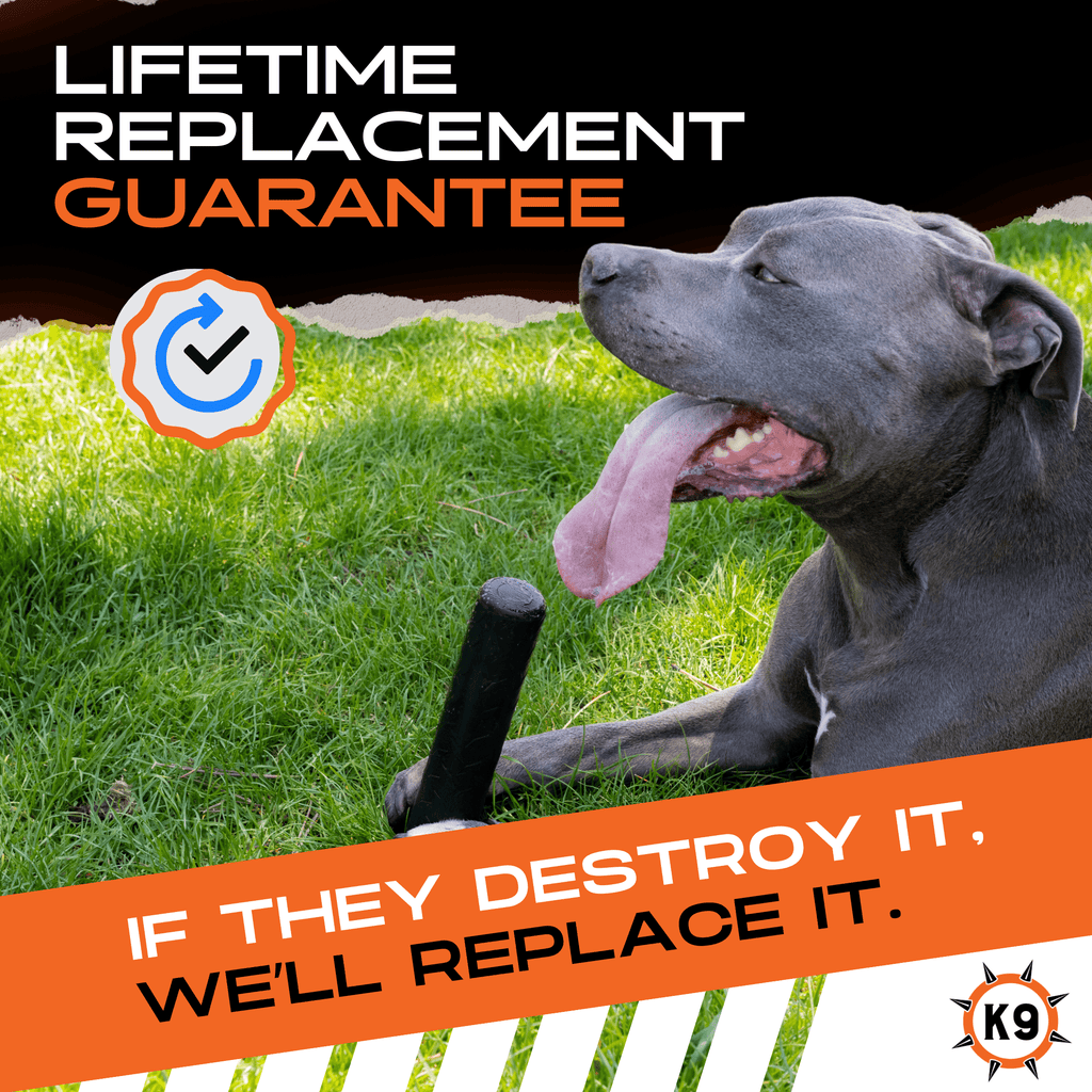 Luxury Pet Essentials - Purrfect Pet Kingdom™