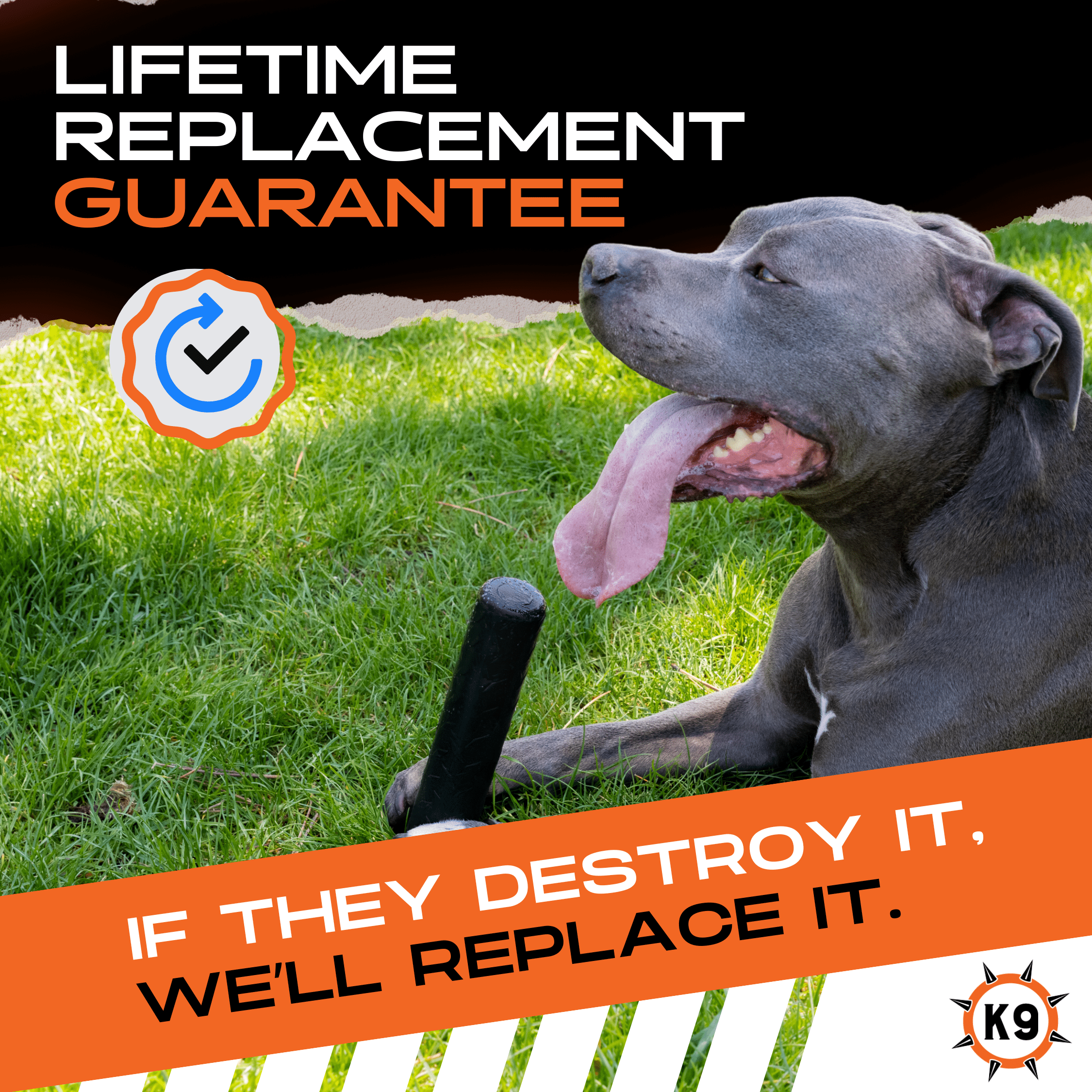 Luxury Pet Essentials - Purrfect Pet Kingdom™