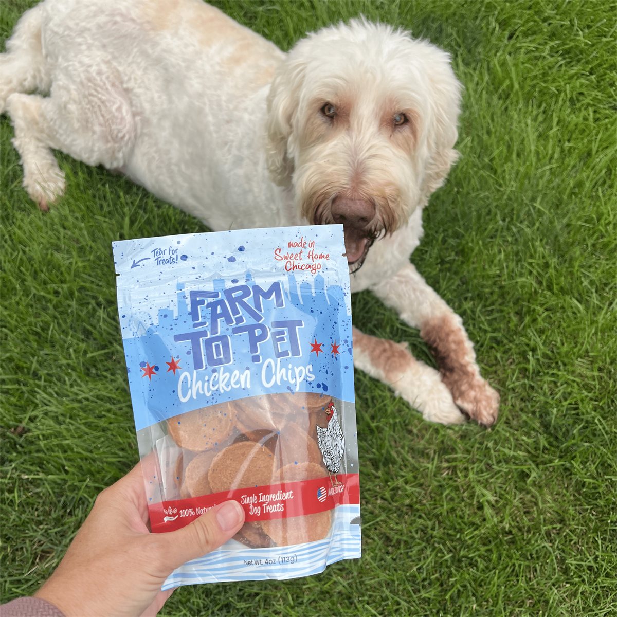 Dog Treats Chicago Chicken Chips All-Natural Crunchy Bites