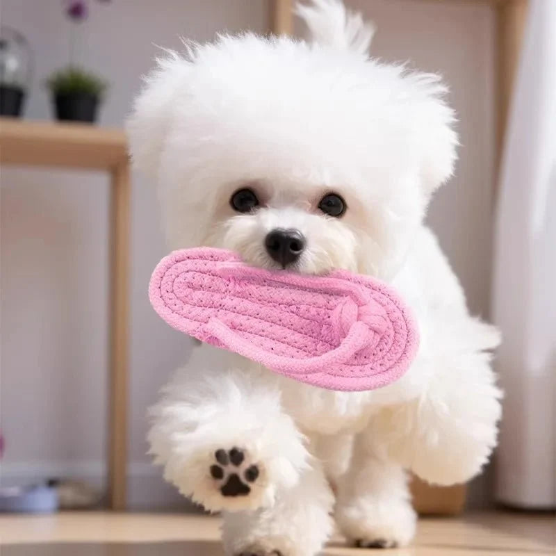 Luxury Pet Essentials - Purrfect Pet Kingdom™