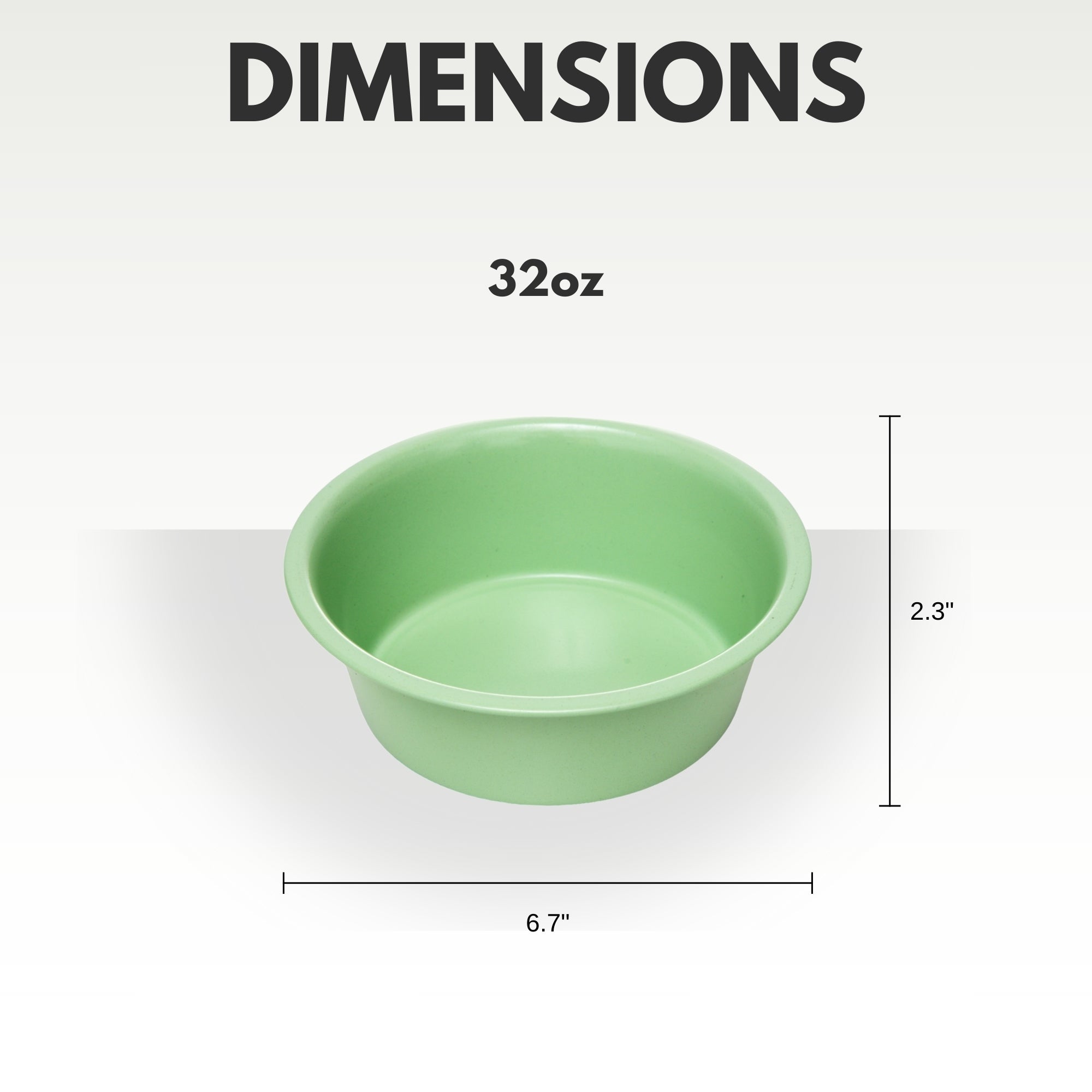 Coated Heavy Duty Stainless Steel Pet Feeding Bowl (Set of 2)