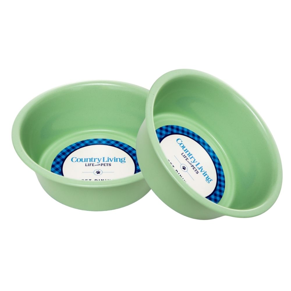 Coated Heavy Duty Stainless Steel Pet Feeding Bowl (Set of 2)