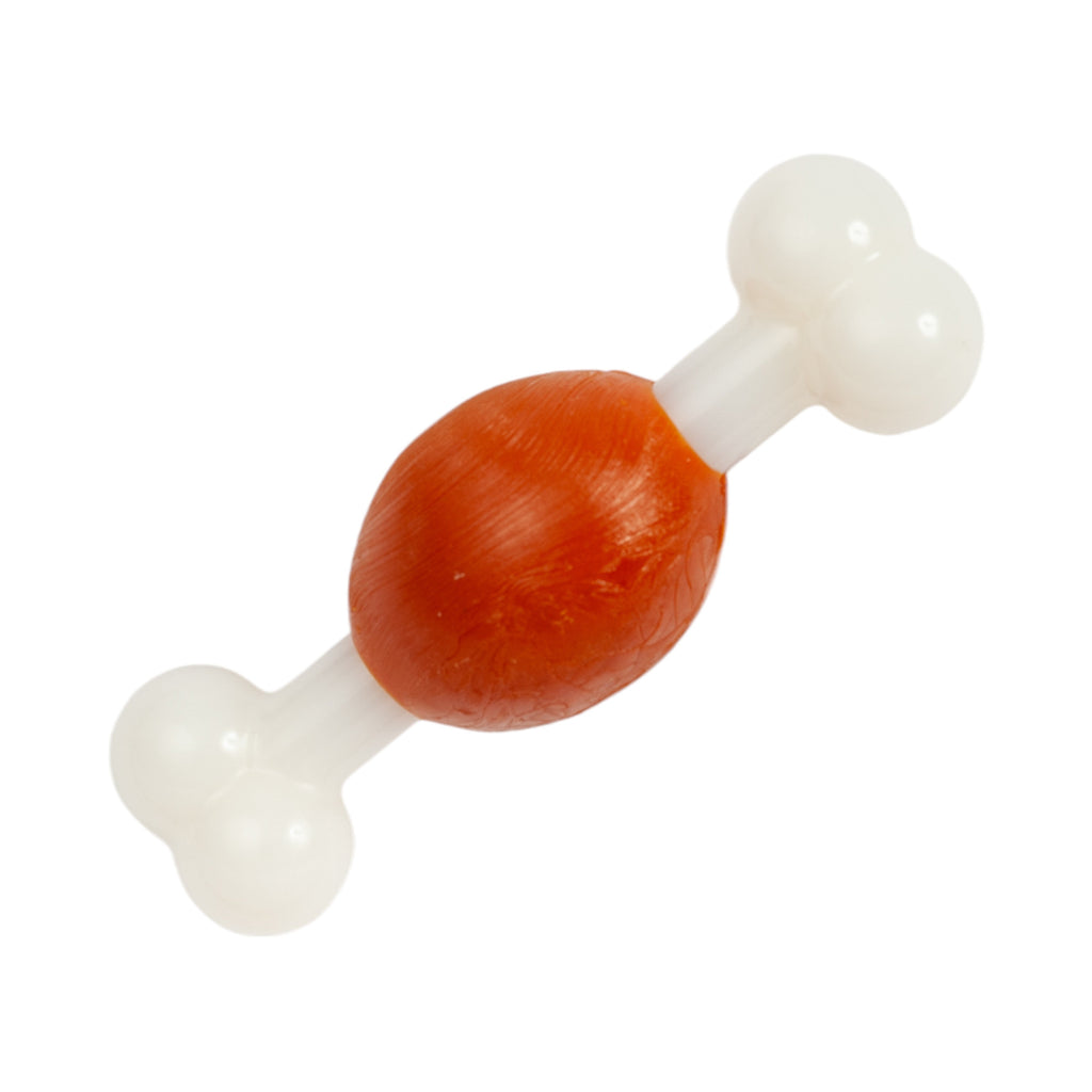 Beef-Flavored TPR & Nylon Bone Dog Chew Toy for Small Dogs
