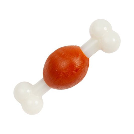 Beef-Flavored TPR & Nylon Bone Dog Chew Toy for Small Dogs