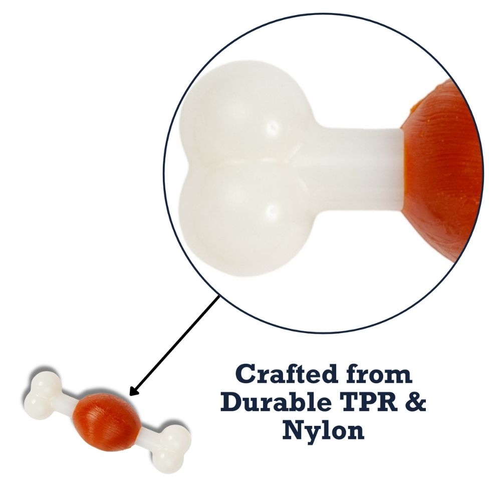 Beef-Flavored TPR & Nylon Bone Dog Chew Toy for Small Dogs