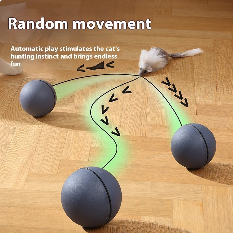 Automatic Intelligent Moving Mouse Teaser Ball