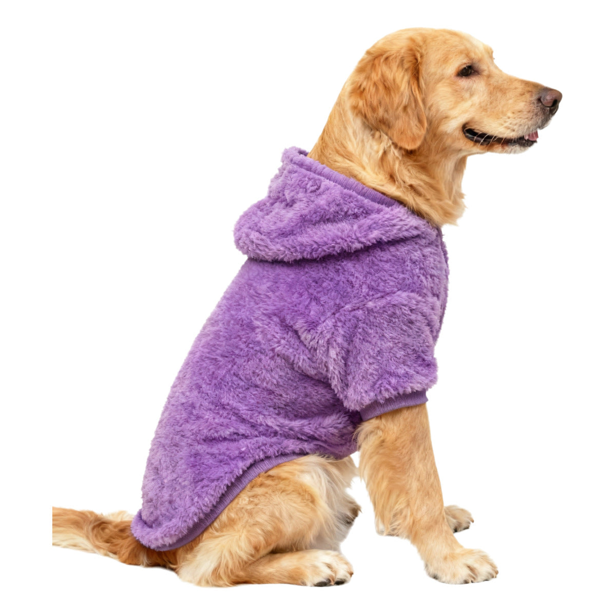 Pet Product - Premium Pet Accessory