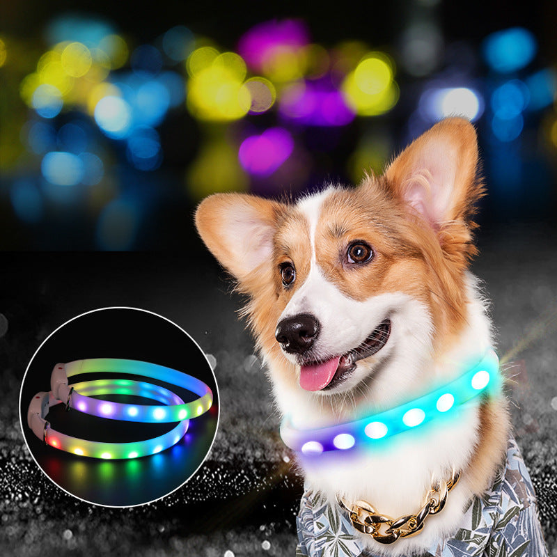 USB Rechargeable Pet Dog LED Glowing Collar Pet Luminous Flashing | Majestic Pet Kingdom™