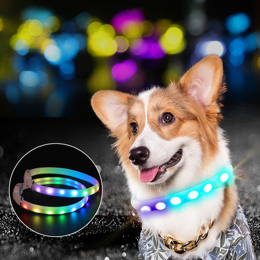USB Rechargeable Pet Dog LED Glowing Collar Pet Luminous Flashing | Majestic Pet Kingdom™