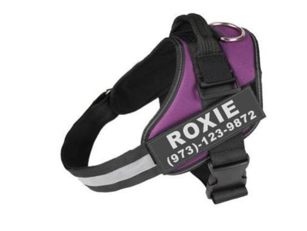 Dog Harness Personalized No-Pull Reflective Breathable Vest - Detail Angle 5 | Majestic Pet Kingdom
