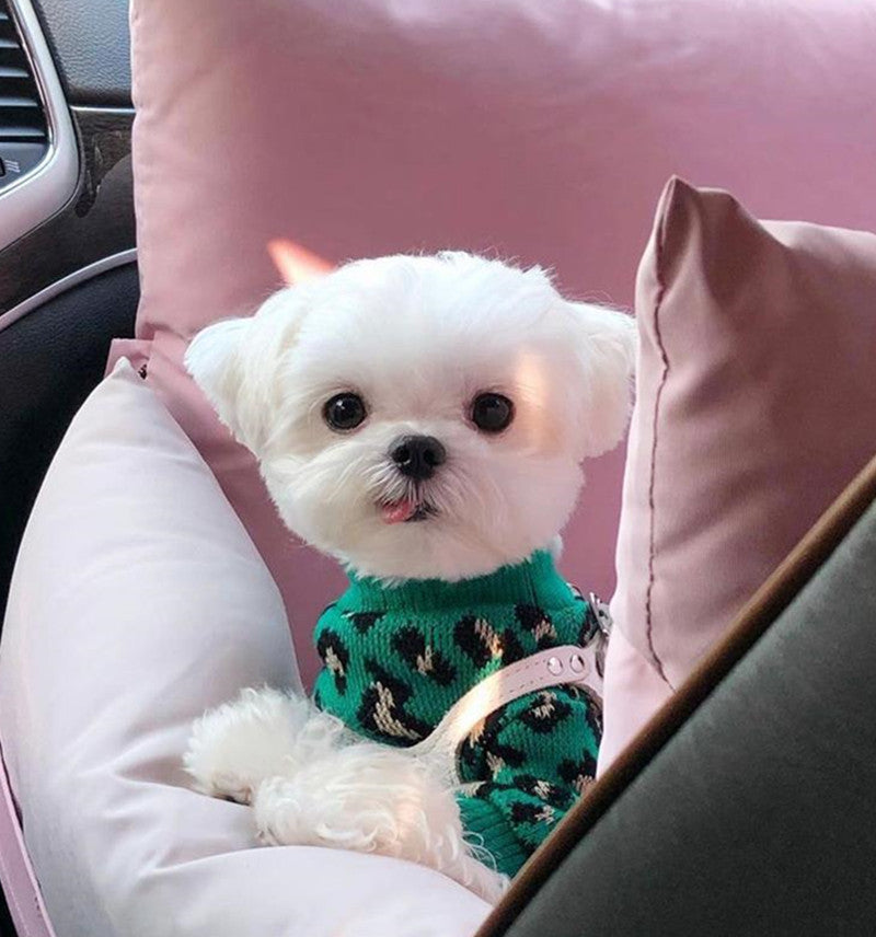 Knitted Dog Leopard-print Sweater Small Dog Pet Dog Cat Clothes - Majestic Pet Kingdom