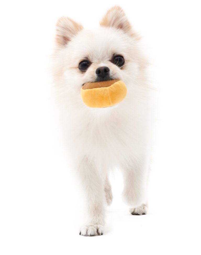 Mushroom Tibetan Food Vocal Toy Set Dog