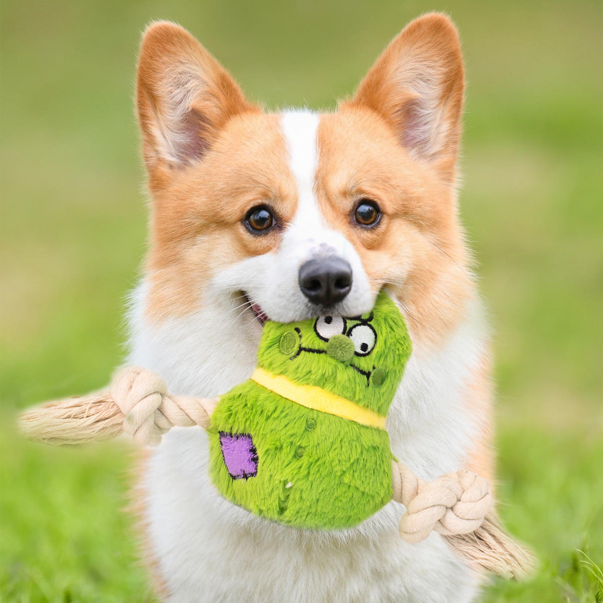 Interactive Dog Toy Plush Rope Knot Tug Of War Game Bb Bite Resistant Molar Tooth Toy | Purrfect Pet Kingdom