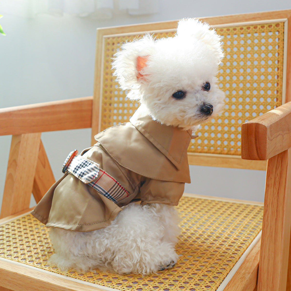 Pet Clothes Khaki Trench Coat Couple Clothes - Majestic Pet Kingdom