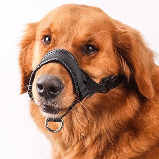 Dog Mouth Cover Nylon Anti Bite Anti Barking Drinkable Water | Majestic Pet Kingdom™