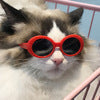 Luxury Pet Essentials - Purrfect Pet Kingdom™
