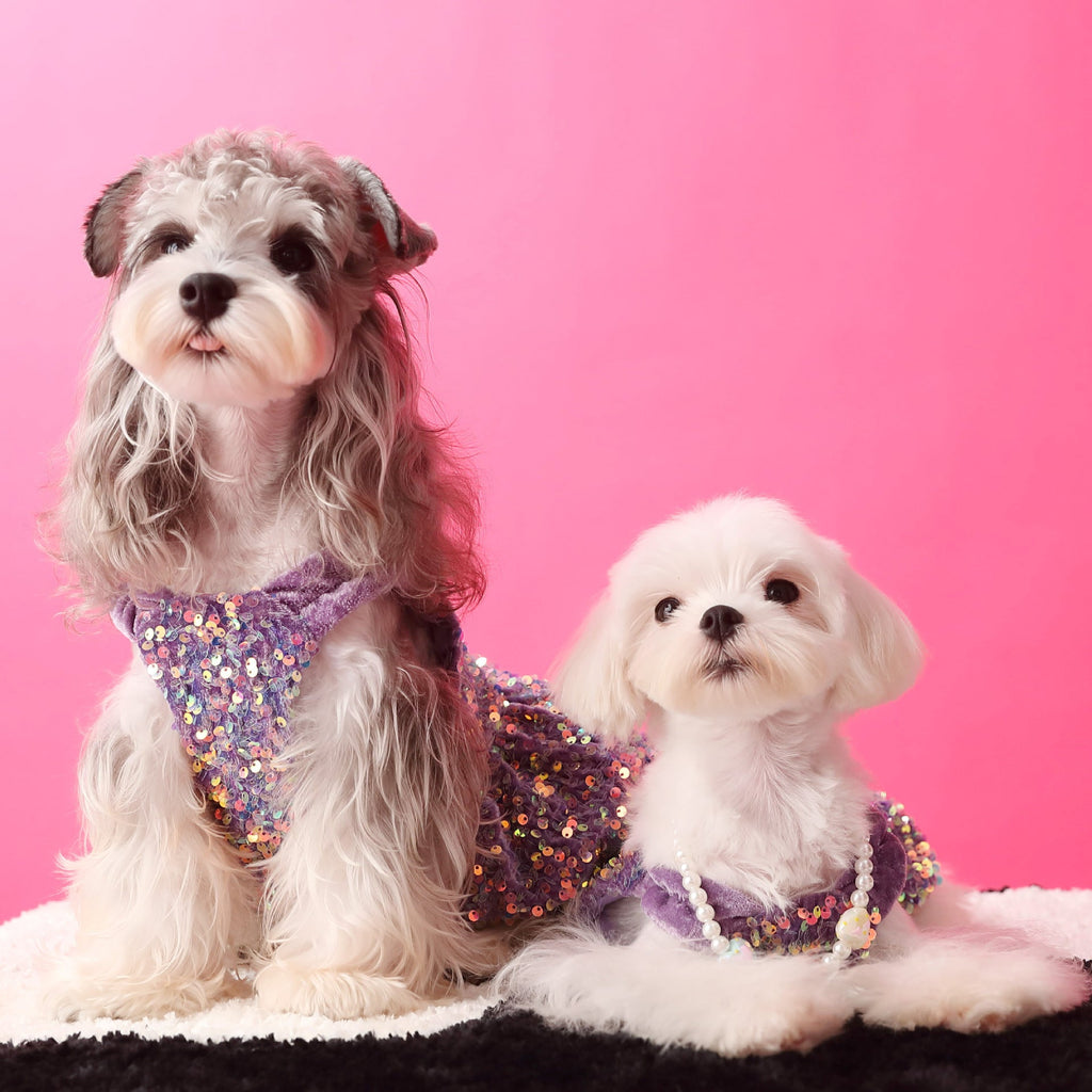 Female Dog Clothes Autumn Dress Velvet Sequins - Majestic Pet Kingdom