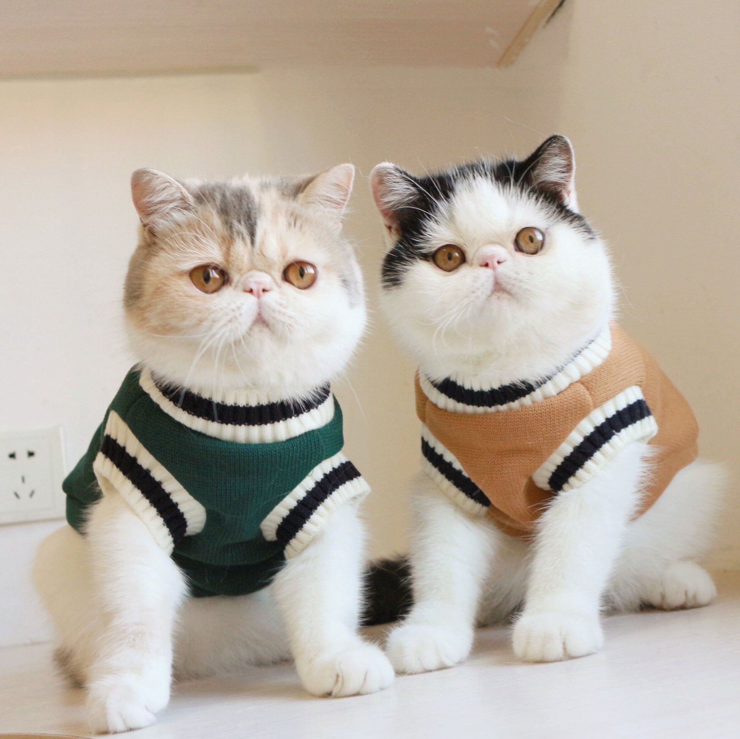 American College Style Fleece Cat Knit Sweater Sleeveless Vest - Majestic Pet Kingdom