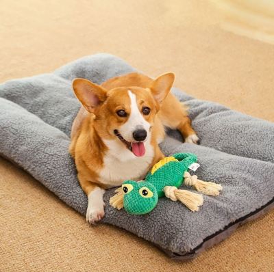 Dog Chew Toy Squeaky Rubber Dental Teething Boredom Buster Bone - Main Feature View | Majestic Pet Kingdom