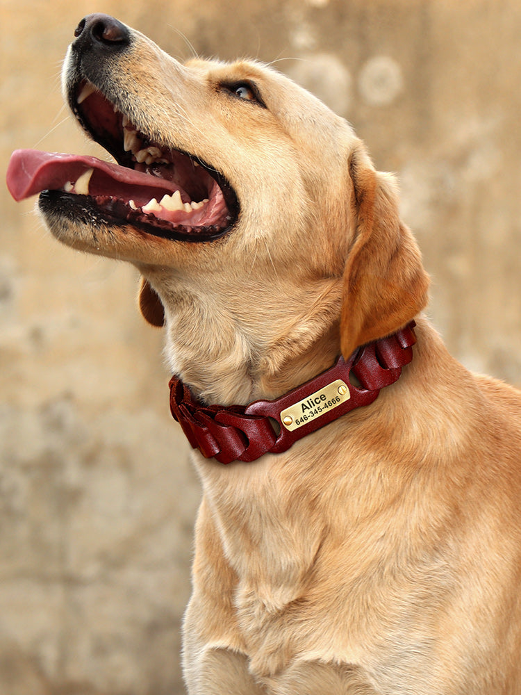 Dog Collar Braided Genuine Leather for Medium Large Breeds - Detail Angle 5 | Majestic Pet Kingdom