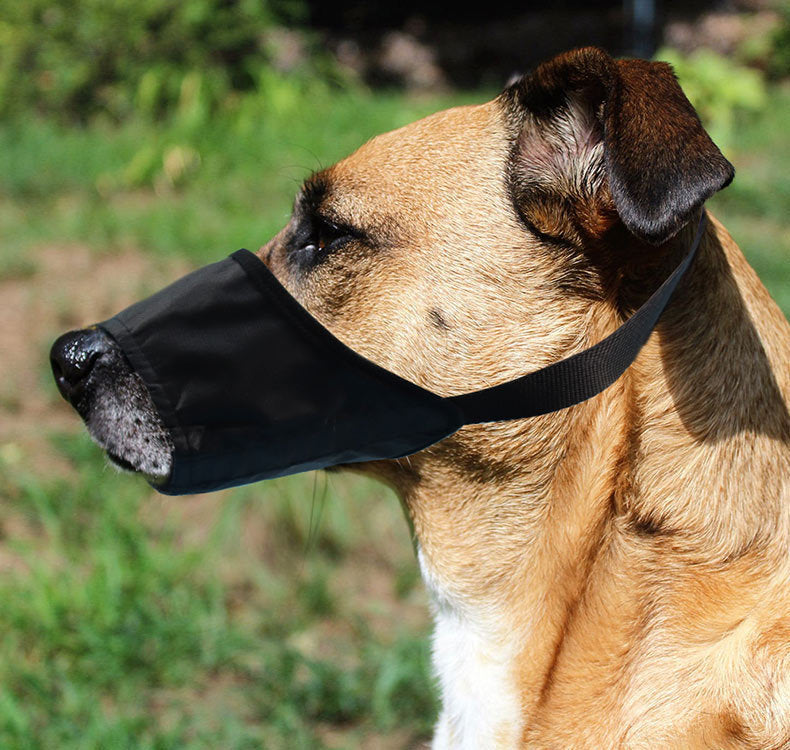 Majestic Pet Kingdom - Anti-bite Anti-miseating Dog Mouth Cover Waterproof  Bark Stopper View 5