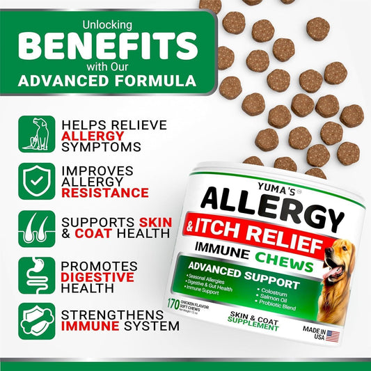 Dog Allergy Relief Chews Omega 3 Fish Oil Skin Coat 2-Pack