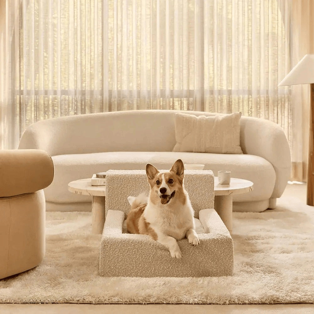 Movable Sponge Pet Sofa Mat & Dog Bed