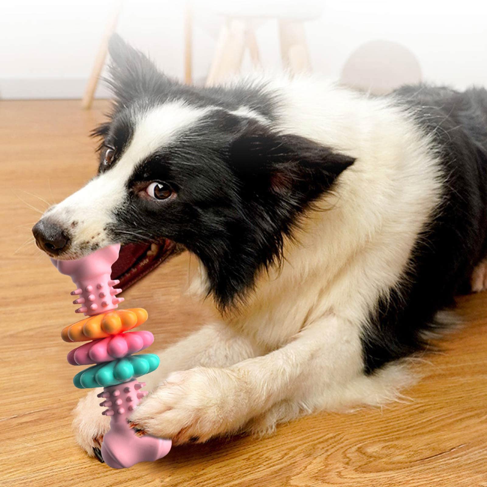 Dog Chew Toy TPR Rubber Bone Indestructible Dental Teething Play - Detail Angle 7 | Majestic Pet Kingdom