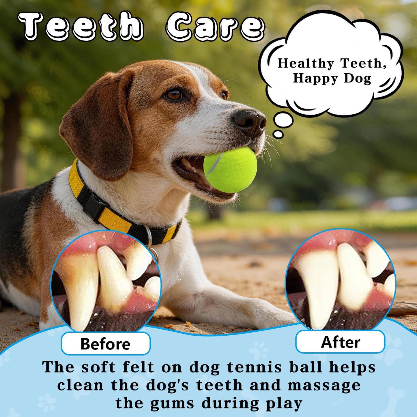 Dog Balls for Fetch High Bounce Durable Rubber Tennis Balls