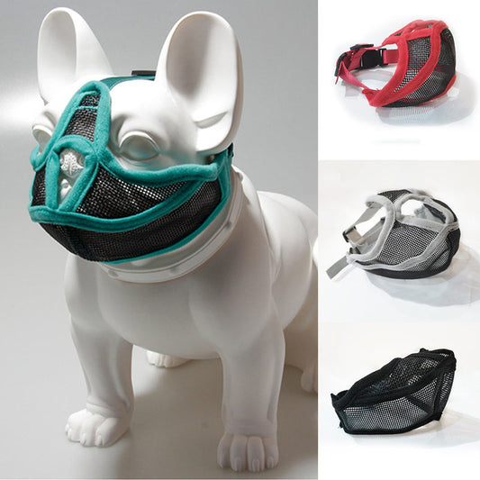 Luxury Pet Essentials - Purrfect Pet Kingdom™