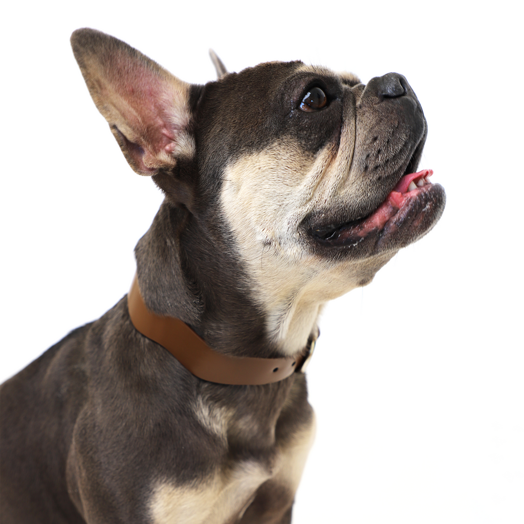 Dixie Brown Ergonomic Walking Harness Premium Design | Majestic Pet Kingdom™