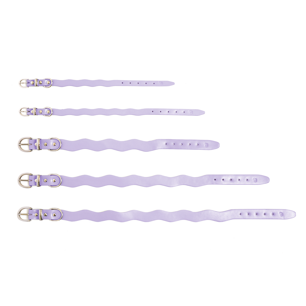 Dixie Lilac