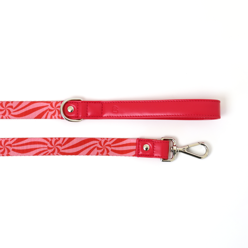 Ginger Leash Ergonomic Walking Harness Premium Design | Majestic Pet Kingdom™