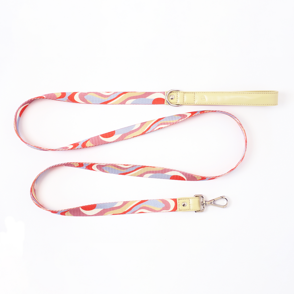 Molly Leash