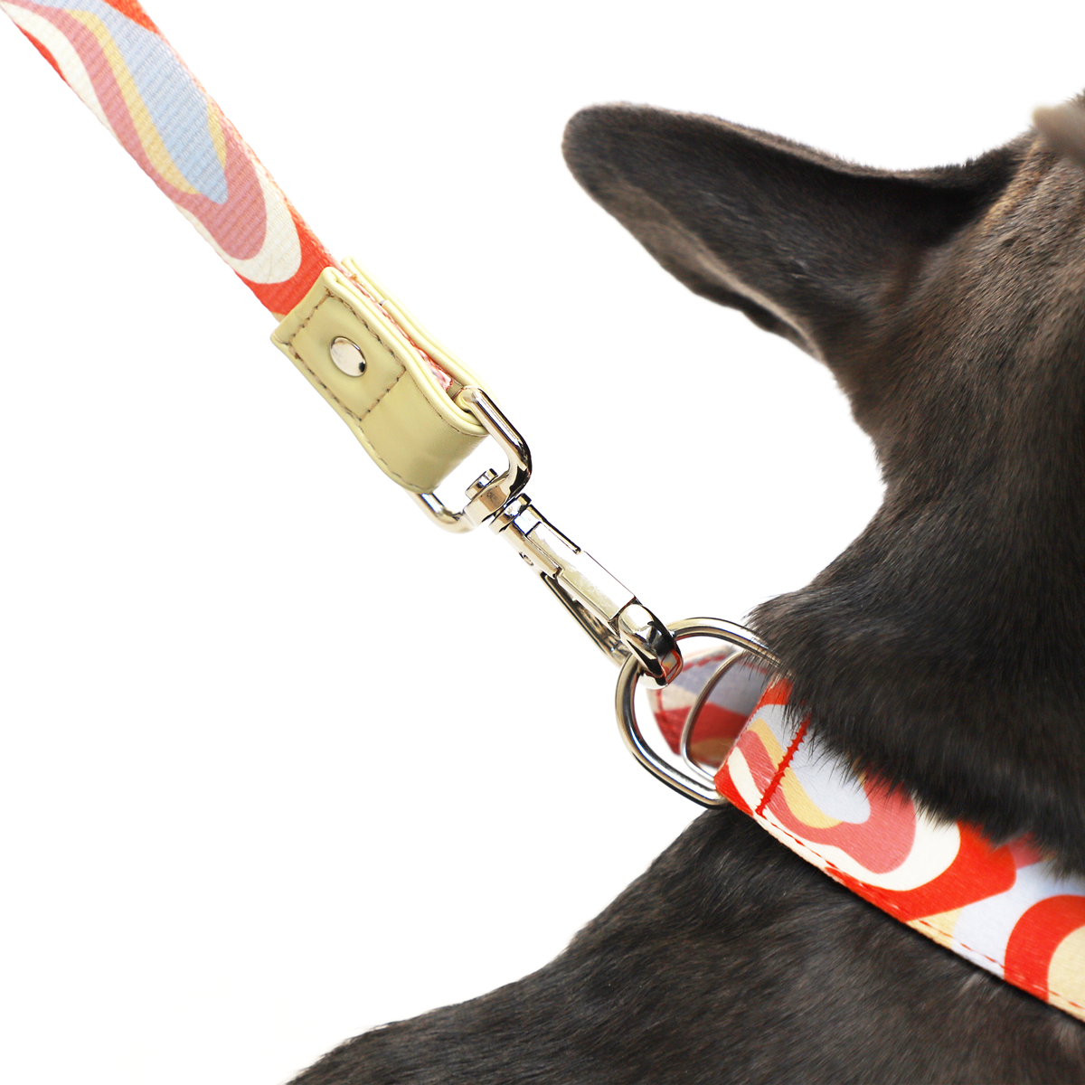 Molly Leash