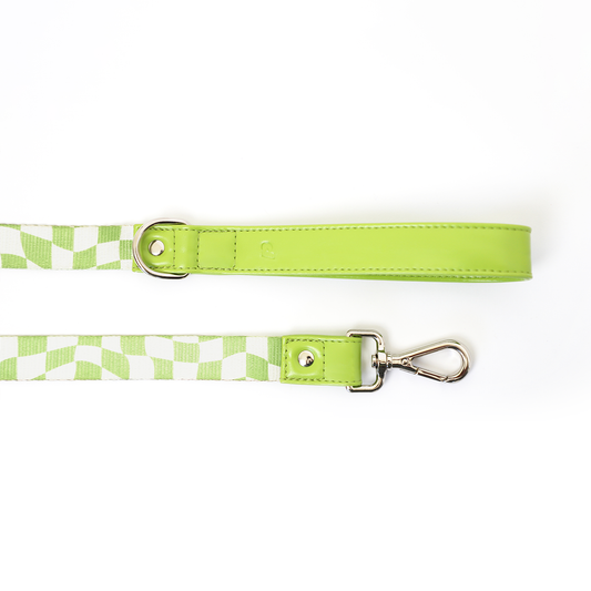 Oakley Leash | Purrfect Pet Kingdom